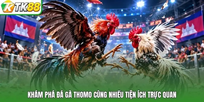Khám phá đá gà Thomo cùng nhiều tiện ích trực quan